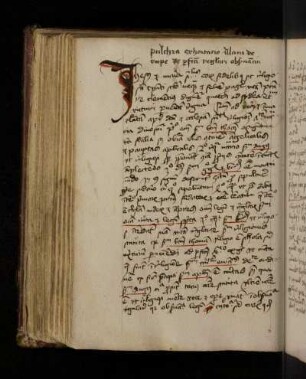 Alanus de Rupe (?): De perfecta regulari observantia