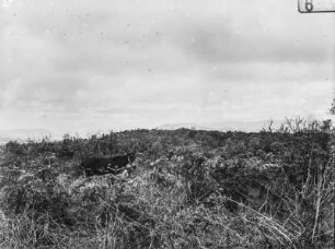 Landschaft : Blick von einer Anhöhe in ein Tal und auf bergige Umgebung. In der Bildmitte steht ein Esel