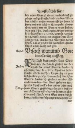 Ursach warumb Gott das Creütz auffleg.
