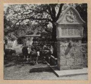 Gefallenen-Denkmal