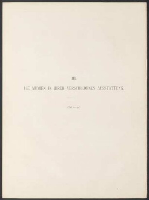 III. Die Mumien in ihren verschiedenen Ausstattung. - (Taf. 11-30.)