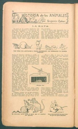 La rata : Historia de los animales