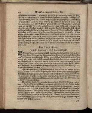 Das XXXII. Capitel. Vom Cauterio und Fontanellen