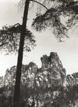 Rathener Kessel. Kleine Gans vom Weg Rathen - Bastei aus gesehen