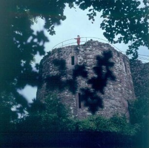 Schlüchtern. Ruine der Burg Steckelburg