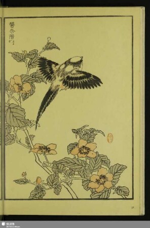 [Schwanzmeise, Aegithalos caudatus (L.)]