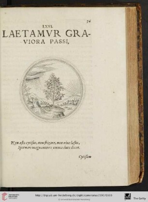 LXVI. Laetamvr graviora passi