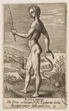 Aesculapius, aus der Reihe von de deis gentium imagines aliquot iconicae aeneis tabulis (...)