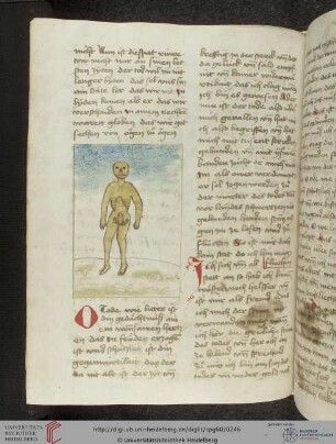'Memoria improvisae mortis' (deutsch)