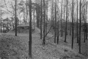 Rackeler Schanze. Ringwall. : Rakojdźanske hrodźišćo.