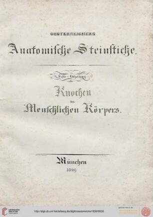 I. Abtheilung: Knochen des Menschlichen Körpers