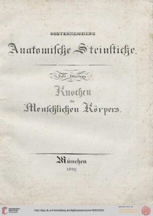 I. Abtheilung: Knochen des Menschlichen Körpers