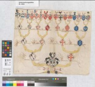 Proband: Winkelhausen, Johann Philipp von; Vater: Winkelhausen, Wilhelm von; Mutter: Hovelich, Johanna von der: Münster, Domkapitel