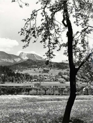 Hallstädter See bei Steg