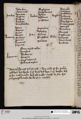 Schema de septem vitiis
