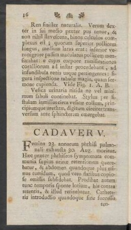 Cadaver V.