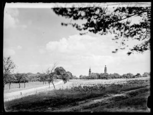 Dübener Heide: vor Reinharz