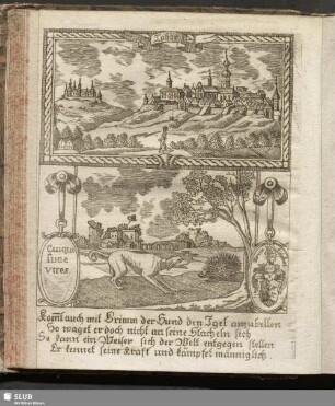 Tabor