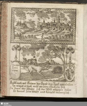 Tabor