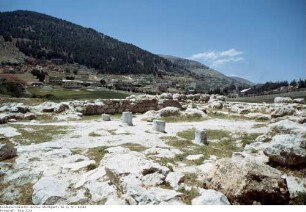 Israel: Sichem