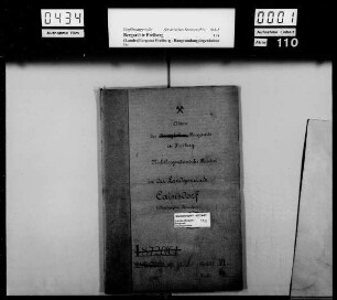 Cainsdorf bei Zwickau, Bd. 1