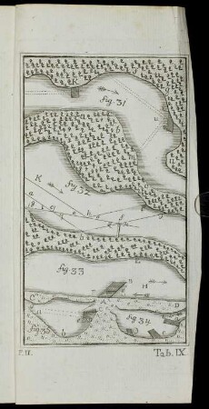 Tab. IX. fig. 31 - fig. 35