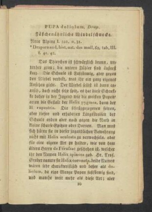 Pupa doliolum Drap. Fäßchenähnliche Windelschnecke.