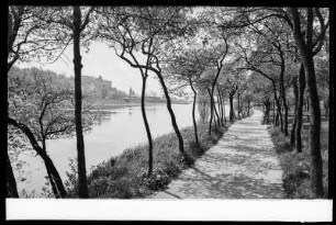 Pirna, Uferweg gegen Sonnenstein und Altstadt
