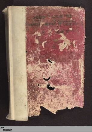 Sermones varii ; Guilelmus Peraldus - Cod.Don.265