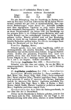 Familie: Paridae, Meisen.