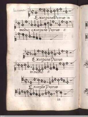 Franciscus Scheifler : Exurgens Petrus
