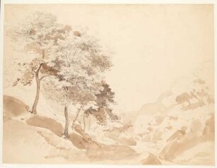 Bergige Landschaft mit Bäumen