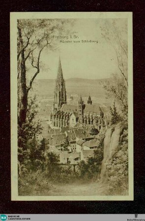 Freiburg i. Br. Münster vom Schloßberg