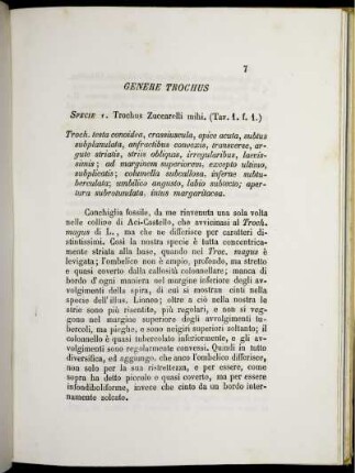 Genere Trochus