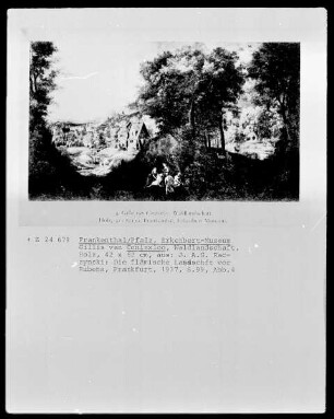 Waldlandschaft