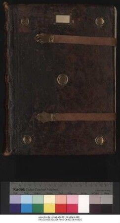 Angelus de Dobelin. Quaestiones theologicae