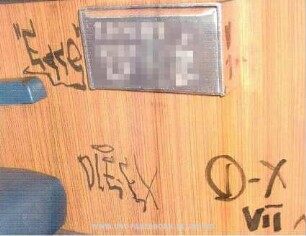 DLE-EX