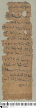 Demotischer Papyrus, Abrechnung, Zuteilung von Emmer