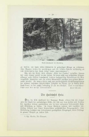Die Halbinsel Hela