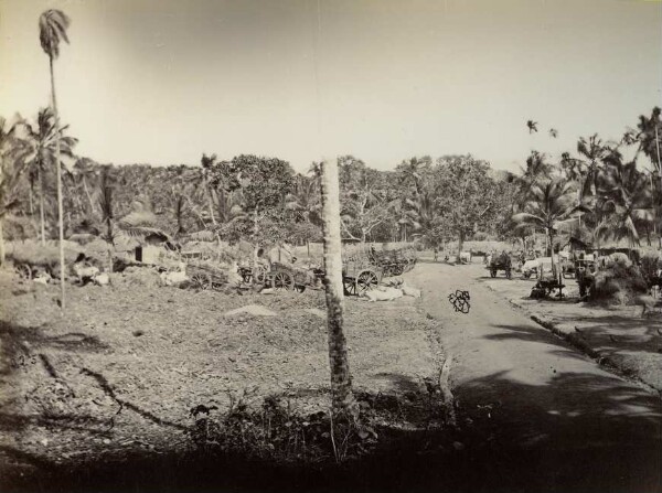 Paysage, étape de voyage à Malabar