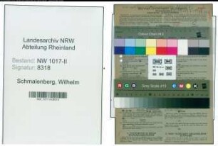 Entnazifizierung Wilhelm Schmalenberg , geb. 08.06.1890 (Versandleiter)