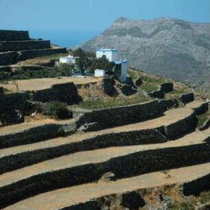 Syros, Terrassenmauern bei Finikás im Norden