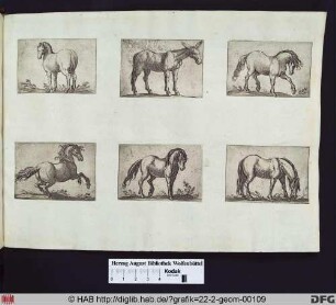 unten rechts: Ein grasendes Pferd, nach rechts gewandt.