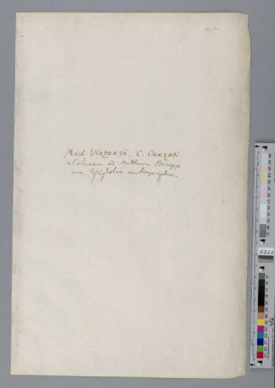 Ad Matth. Berneggerum. II. - Briefe an Matthias Bernegger, Teil II