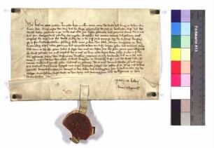 Kaiser Karl befiehlt der Reichsstadt Leutkirch, ihre Reichssteuer, welche am nächsten Martinstag fällig wird, an den Landgrafen Johann von Leuchtenberg zu bezahlen.