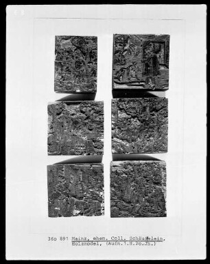 Model (Form)