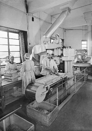 Löbau. Anker-Teigwarenfabrik. VVB Nahrungs-u. Genussmittel Land Sachsen. (ehemals "Löser und Richter"). Makkaronipresse der FA Lihotzky)