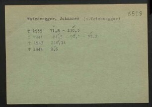Waizenegger, Johannes (oder Weizenegger)