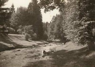 Striegistal : Mittelsachsen. Striegistal am Fuß des Hohen Steines bei Berbersdorf. Blick flussaufwärts