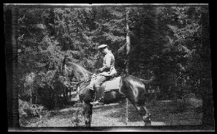 Offizier auf einem Pferd am Waldrand (Seitansicht)